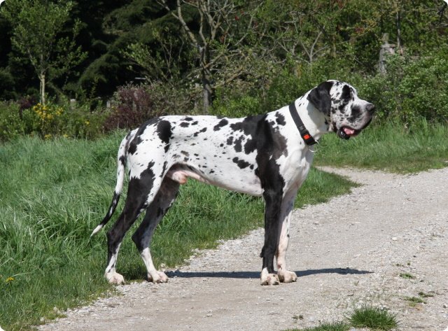 aichach_023.jpg