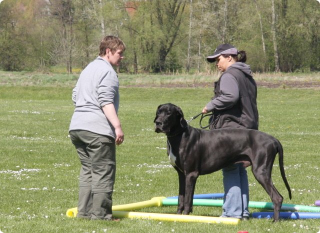 aichach_044.jpg