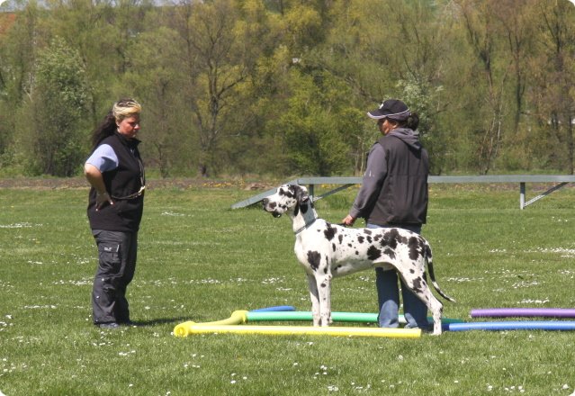aichach_070.jpg