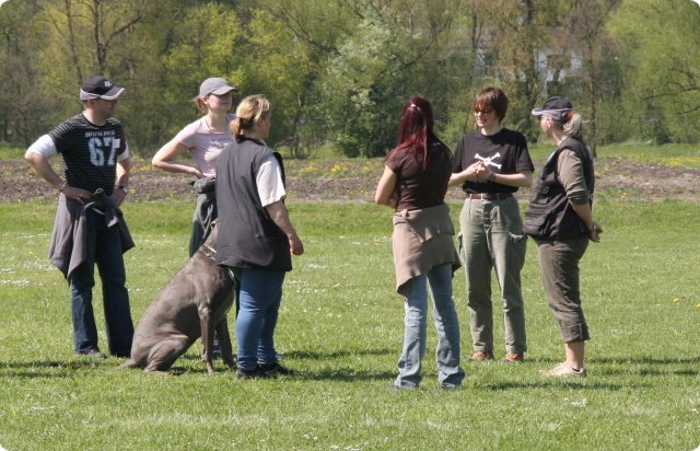 aichach_080.jpg