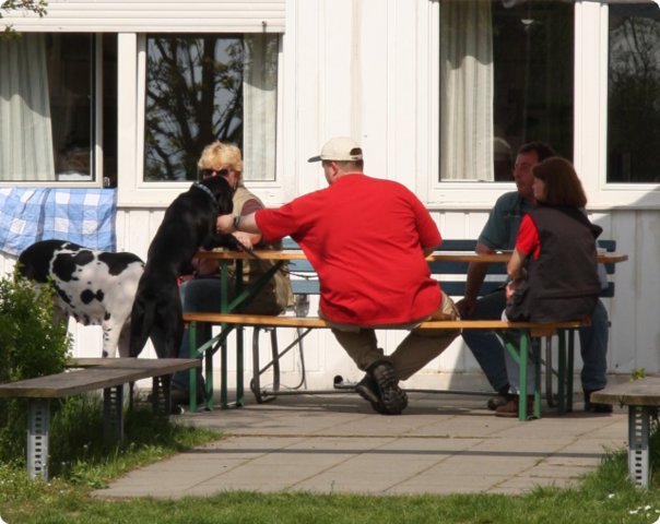 aichach_370.jpg