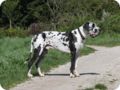 aichach_023.jpg