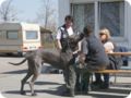 aichach_041.jpg
