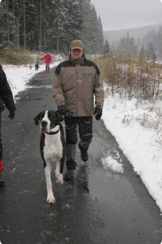 boehmerwald_18.jpg