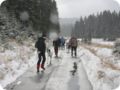 boehmerwald_19.jpg