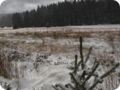 boehmerwald_26.jpg