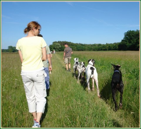 doggentreffen_juni_2006_027.jpg
