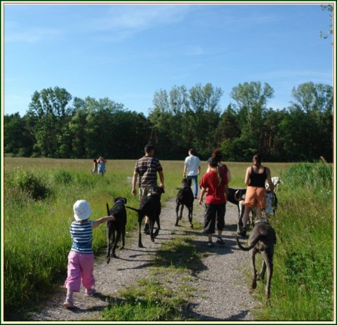 doggentreffen_juni_2006_074.jpg