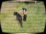 20060610001.jpg
