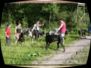 20060610002.jpg