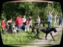20060610006.jpg