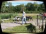 20060610023.jpg
