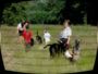 doggentreffen_juni_2006_012.jpg