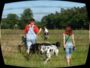 doggentreffen_juni_2006_014.jpg