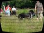 doggentreffen_juni_2006_018.jpg