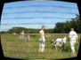 doggentreffen_juni_2006_025.jpg