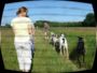 doggentreffen_juni_2006_027.jpg