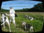 doggentreffen_juni_2006_031.jpg
