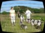 doggentreffen_juni_2006_033.jpg