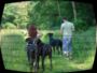 doggentreffen_juni_2006_044.jpg