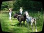 doggentreffen_juni_2006_047.jpg
