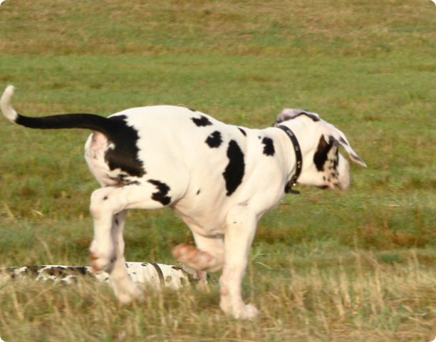 uno_15.9.07_039.jpg