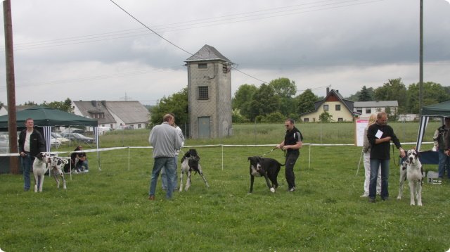 og_-_koblen1112.jpg