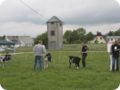 og_-_koblen1112.jpg