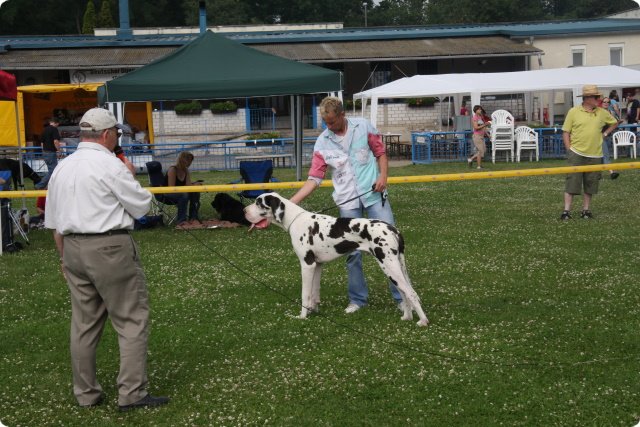 28.6.09_frankenthal_018.jpg