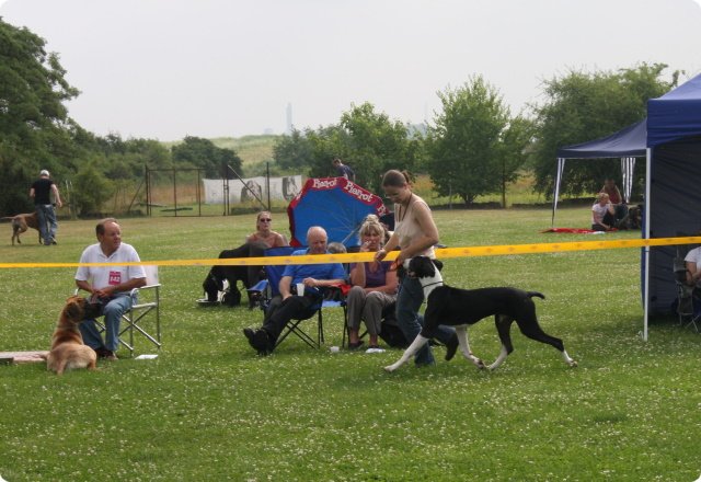 28.6.09_frankenthal_019.jpg