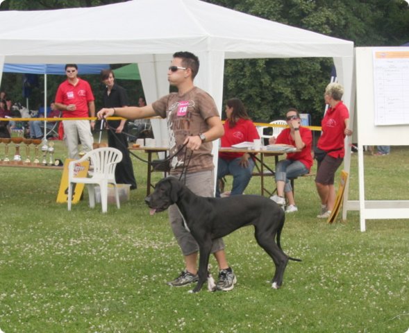 28.6.09_frankenthal_022.jpg