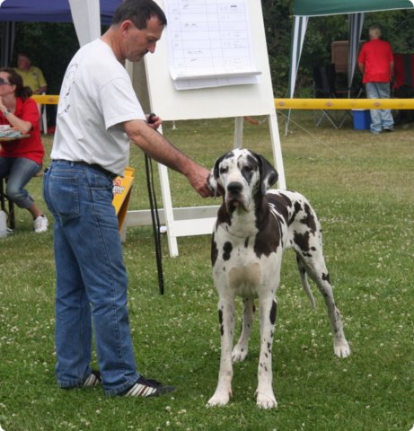 28.6.09_frankenthal_069.jpg
