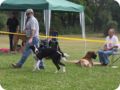 28.6.09_frankenthal_010.jpg
