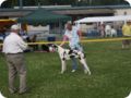 28.6.09_frankenthal_018.jpg