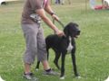 28.6.09_frankenthal_020.jpg