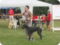 28.6.09_frankenthal_022.jpg