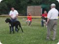 28.6.09_frankenthal_025.jpg