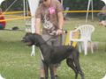 28.6.09_frankenthal_030.jpg