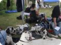 28.6.09_frankenthal_037.jpg