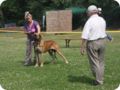 28.6.09_frankenthal_042.jpg