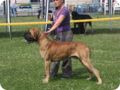 28.6.09_frankenthal_043.jpg