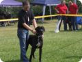 28.6.09_frankenthal_045.jpg