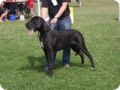 28.6.09_frankenthal_046.jpg