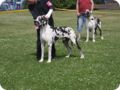 28.6.09_frankenthal_047.jpg