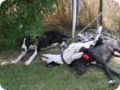 28.6.09_frankenthal_049.jpg