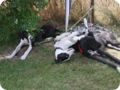 28.6.09_frankenthal_050.jpg