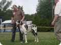 28.6.09_frankenthal_057.jpg