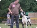 28.6.09_frankenthal_059.jpg