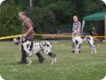 28.6.09_frankenthal_060.jpg