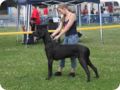28.6.09_frankenthal_064.jpg